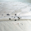 Специалисты советуют тщательно изучать постели в незнакомых местах на предмет колонизации их клопами.