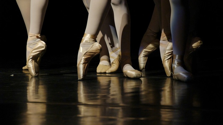 Академия русского балета в Петербурге готова зачислить граждан Украины, ДНР и ЛНР