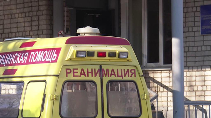 Вести-Москва. Как собака и подмосковные врачи спасли девушку с инсультом