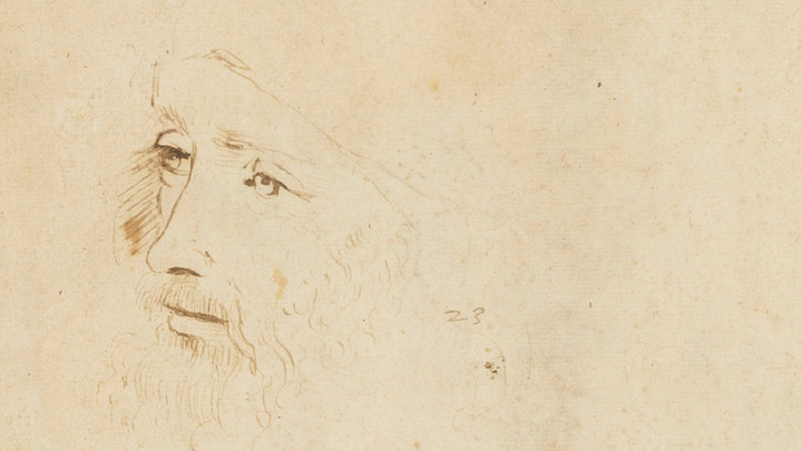 Историки составили полное генеалогическое древо Леонардо да Винчи