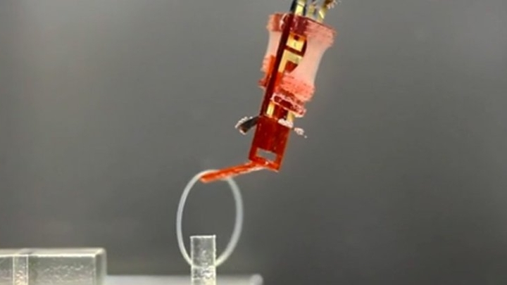 Японские инженеры создали робопальцы с живыми мышцами
