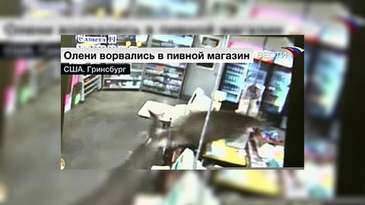Что Творится В Магазинах Москвы Сегодня