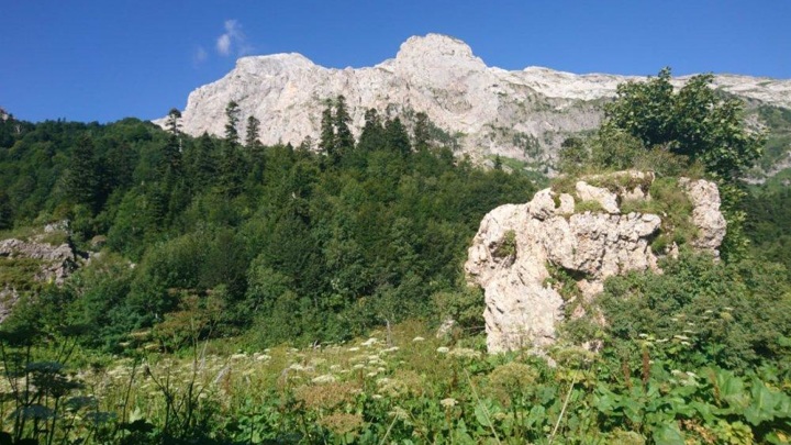 Вход на объекты Кавказского биосферного заповедника сделали бесплатным