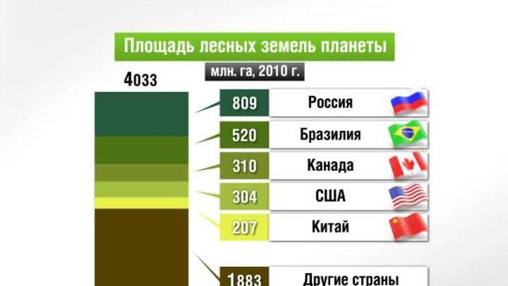 Площадь лесов. Площадь в лесу. Площадь лесов в России. Площадь лесов в странах мира.