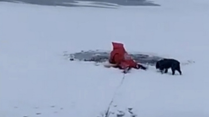 Гулявший с собакой мужчина провалился под лед Вятки