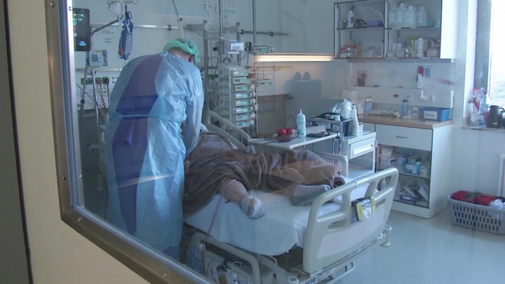 Вирусолог назвал сроки смерти от "омикрона"
