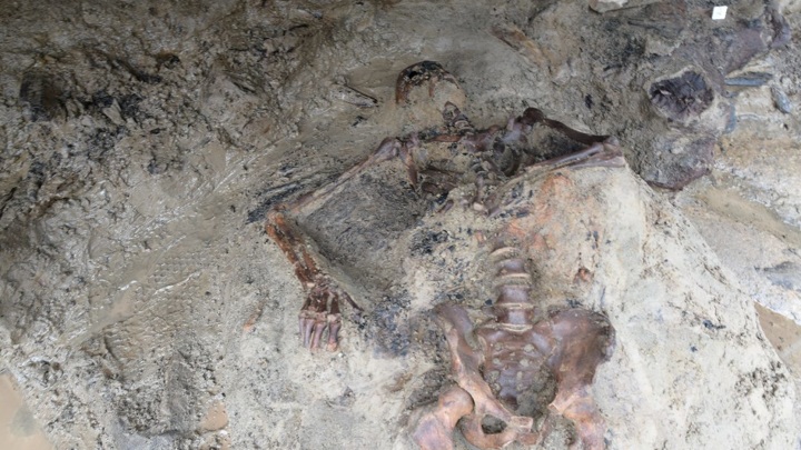 Археологи нашли ещё одну жертву Везувия в ходе новых раскопок в Геркулануме