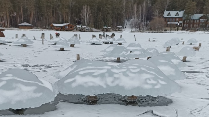 В Челябинской области на озере выросли ледяные грибы