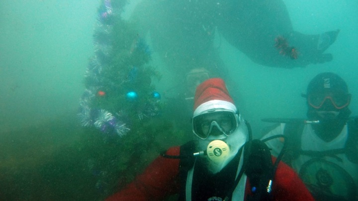 В Крыму дайверы нарядили подводную елку