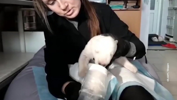 Мобильный репортер. Лучшее за 2021 год. Комментируют