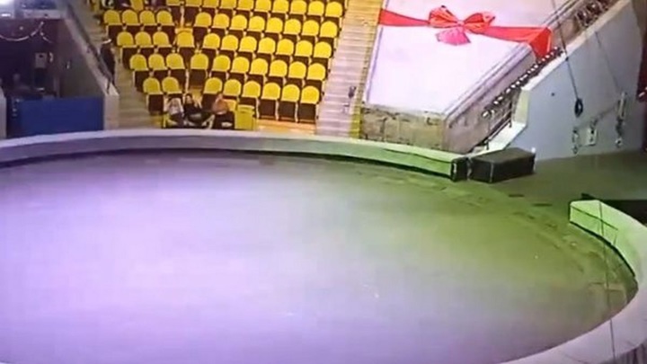 Воздушная гимнастка сорвалась с высоты четырех метров в рязанском цирке