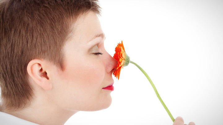 В геноме человека есть участки, отвечающие за восприятие вкусов и запахов.