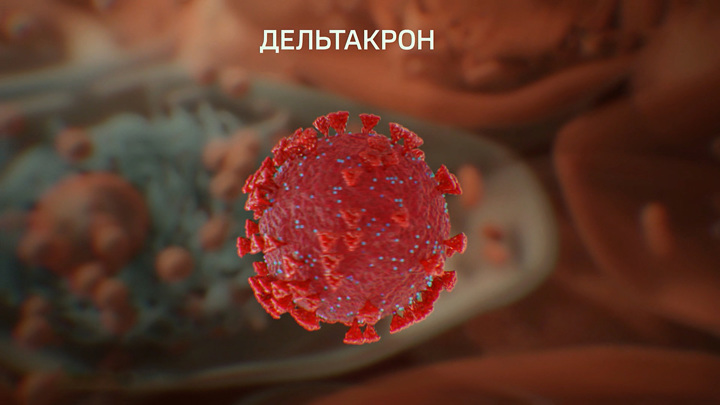 Вести-Москва. Передышка на полгода: когда коронавирус станет обычным гриппом