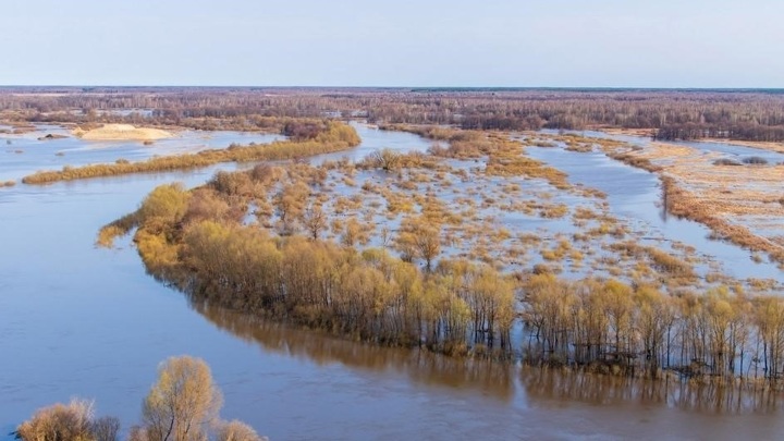 Режим ЧС: в Карелии из-за разлива реки эвакуировали жителей 30 домов