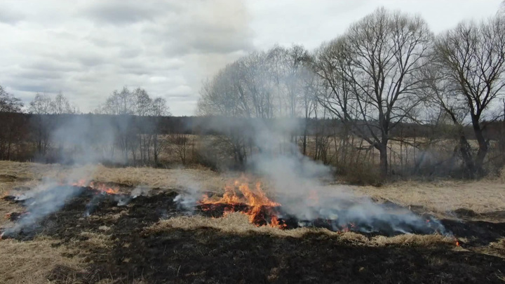 Активизировались любители шашлыков и пала травы: горят дома и леса