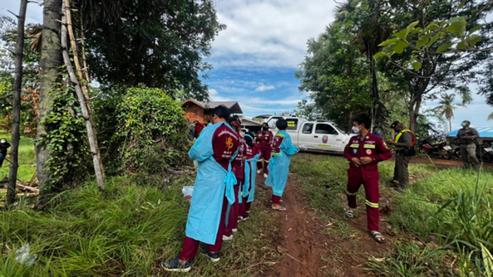 В Таиланде мужчина погиб, упав с 50-метровой пальмы
