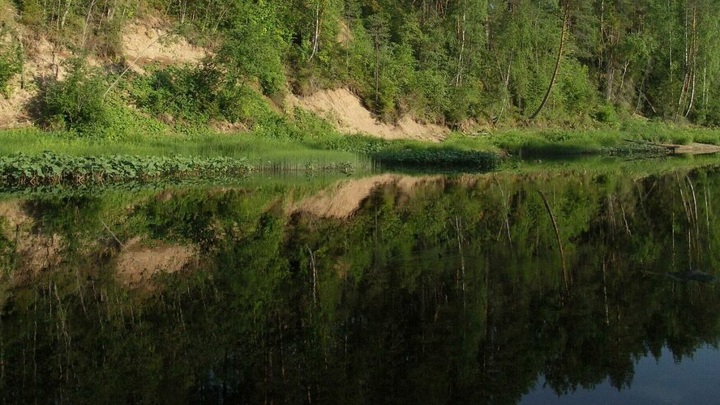 В Вологодской области ищут женщину, которую унесло течением реки
