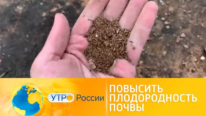 Утро России. Плодородность почвы: как сохранить и повысить
