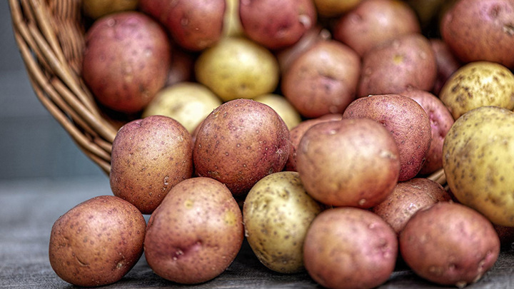 105 ведер картошки выкрал из кладовки соседа житель Ерофей Павловича