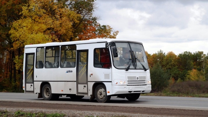 Некоторые автобусные маршруты в Петрозаводске стали бесплатными для ветеранов