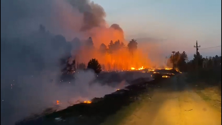 Площадь лесных пожаров в Иркутской области сократилась