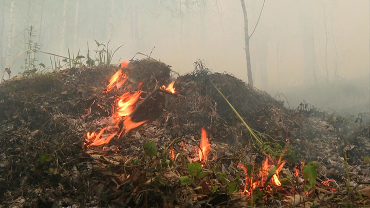 В России потушили более 7 тысяч гектаров природных пожаров