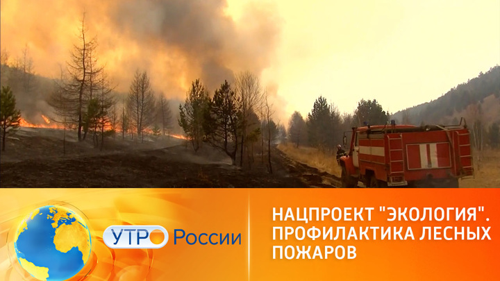 Утро России. В России выделили 14 млрд рублей на борьбу с лесными пожарами