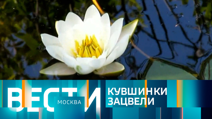Вести-Москва. Эфир от 23.06.2022 (14:30)