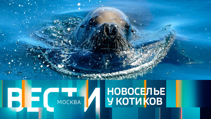 Вести-Москва. Эфир от 26.07.2022 (21:05)