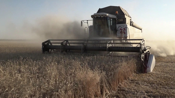 Вести в 20:00. Россия готова увеличить экспорт пшеницы