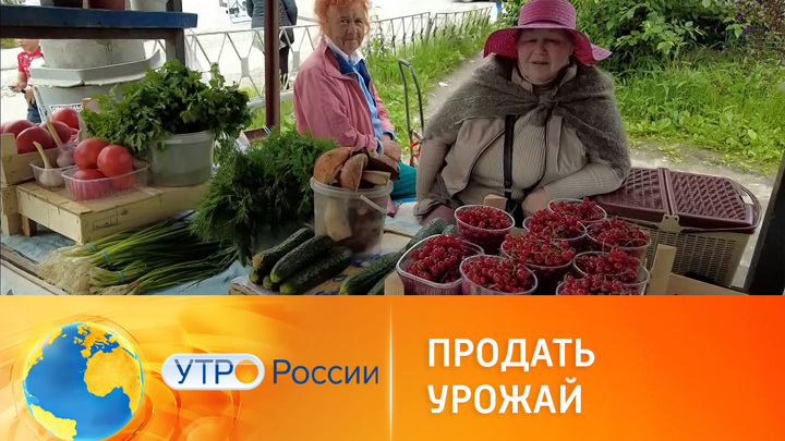 Утро России. Самозанятым дачникам хотят разрешить продавать урожай сетевым магазинам