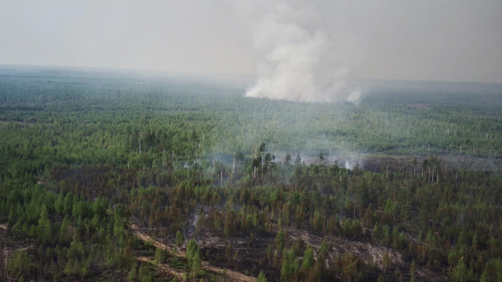Вести в 20:00. Официальная причина лесного пожара в Рязанской области – человеческий фактор