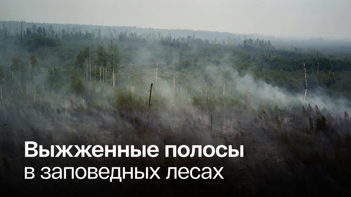Вести в 20:00. Из-за жары в Рязанской области могут возникнуть новые пожары