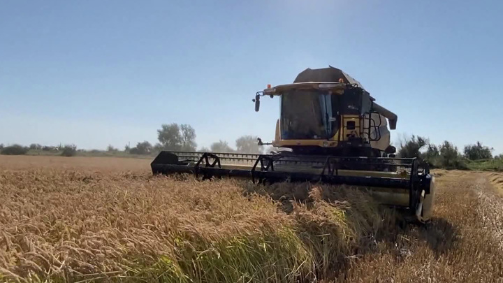 Вести в 20:00. Грандиозные планы крымских производителей риса – только начало