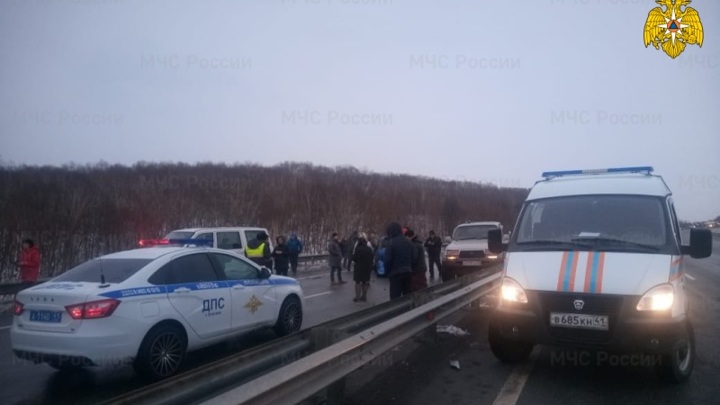 Свежие новости камчатки происшествия