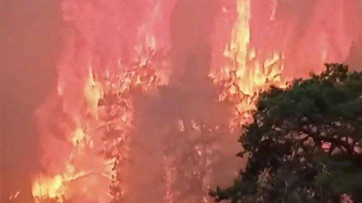 Вести в 20:00. Лесные пожары в Тюменской области потушить пока не удается