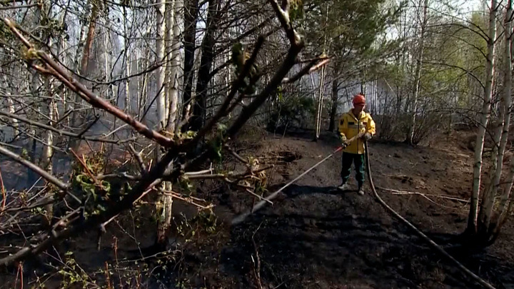 Вести в 20:00. Лесной пожар может обойтись "поджигателю" в 2 млн рублей